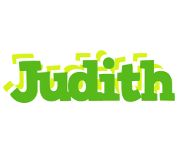 Judith picnic logo