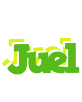 Juel picnic logo