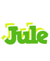 Jule picnic logo