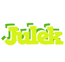 Julek citrus logo