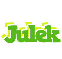 Julek picnic logo