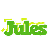 Jules picnic logo