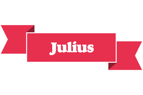 Julius sale logo