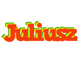 Juliusz bbq logo