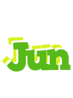 Jun picnic logo