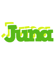 Juna picnic logo