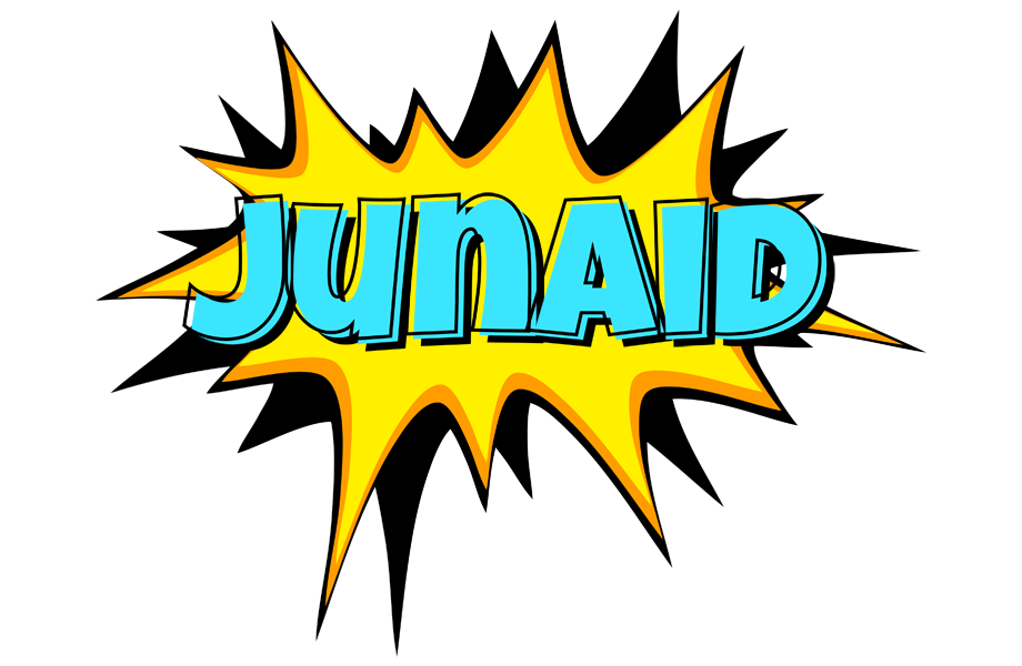 Junaid indycar logo