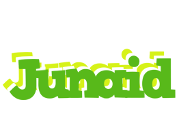 Junaid picnic logo