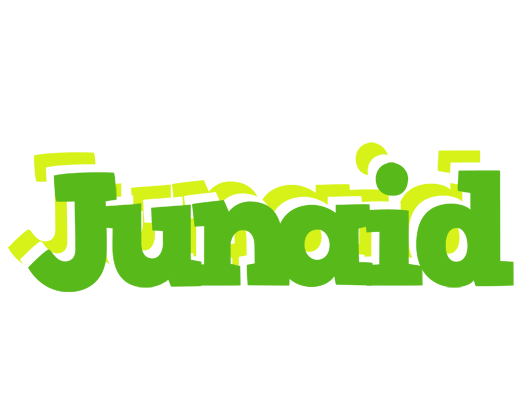 Junaid picnic logo
