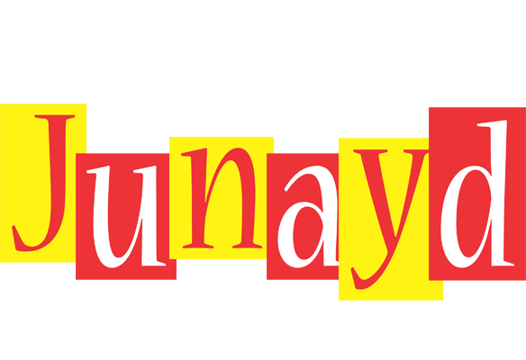 Junayd errors logo