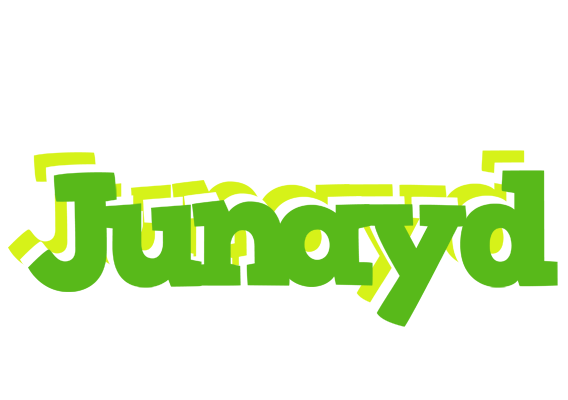 Junayd picnic logo
