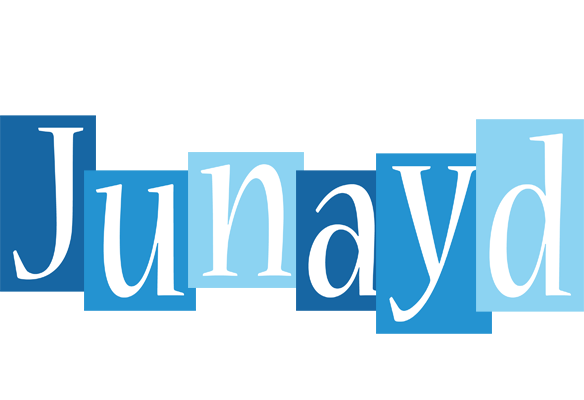 Junayd winter logo
