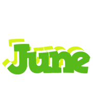 June picnic logo