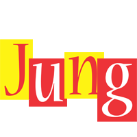 Jung errors logo