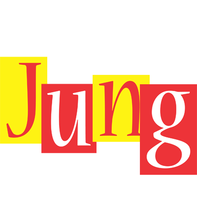 Jung errors logo