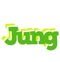 Jung picnic logo