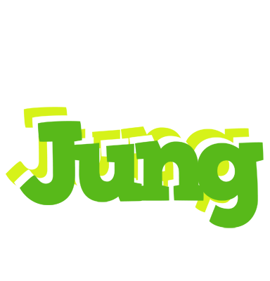 Jung picnic logo