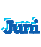 Juni business logo