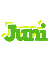 Juni picnic logo