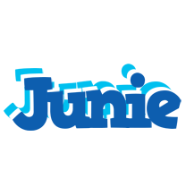 Junie business logo