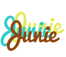 Junie cupcake logo