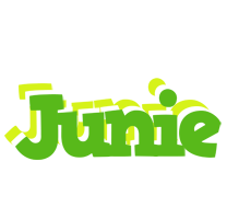 Junie picnic logo