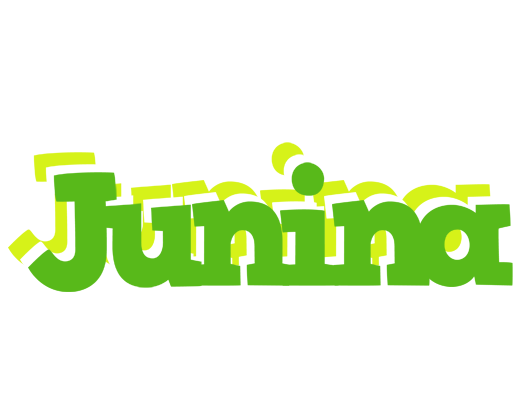 Junina picnic logo
