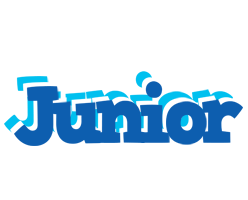 Junior business logo