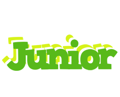 Junior picnic logo