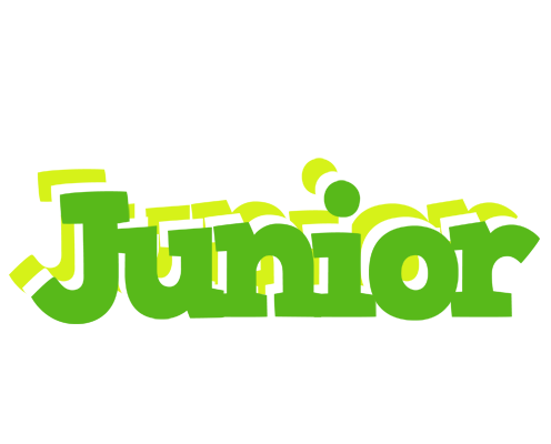 Junior picnic logo