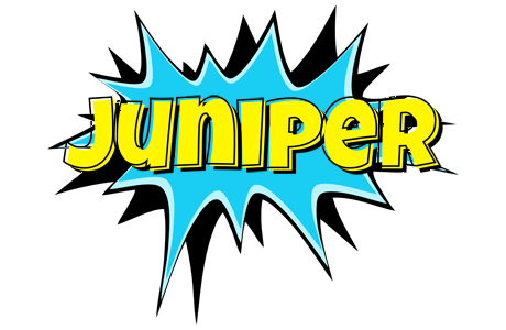 Juniper amazing logo