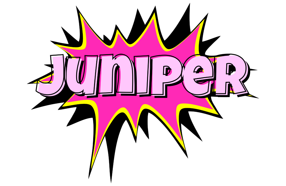 Juniper badabing logo