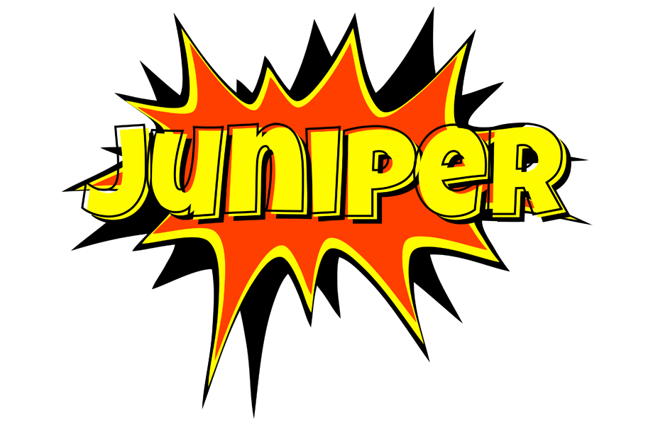 Juniper bazinga logo