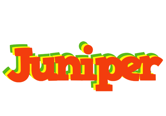 Juniper bbq logo