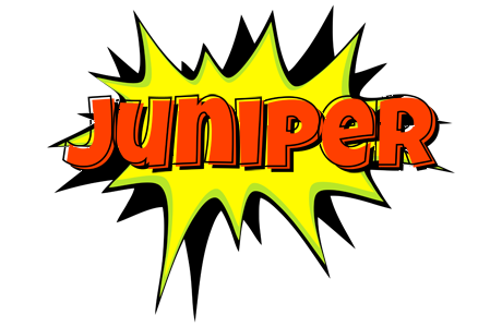 Juniper bigfoot logo