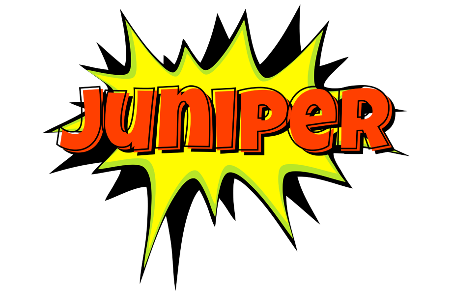Juniper bigfoot logo
