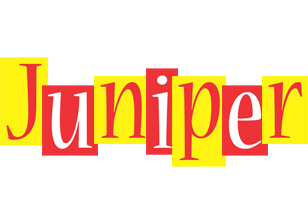 Juniper errors logo