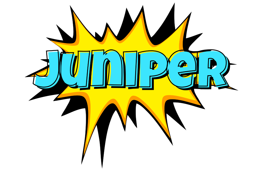 Juniper indycar logo