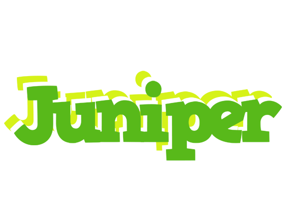 Juniper picnic logo