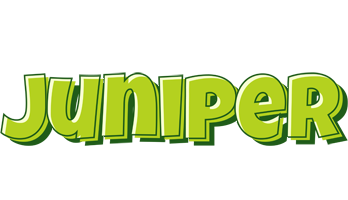 Juniper summer logo