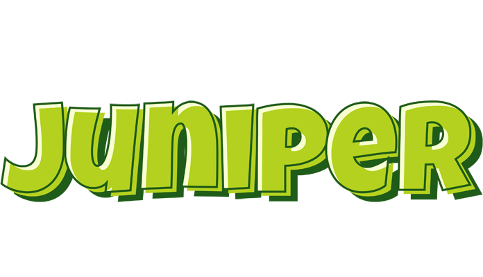 Juniper summer logo