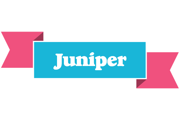 Juniper today logo