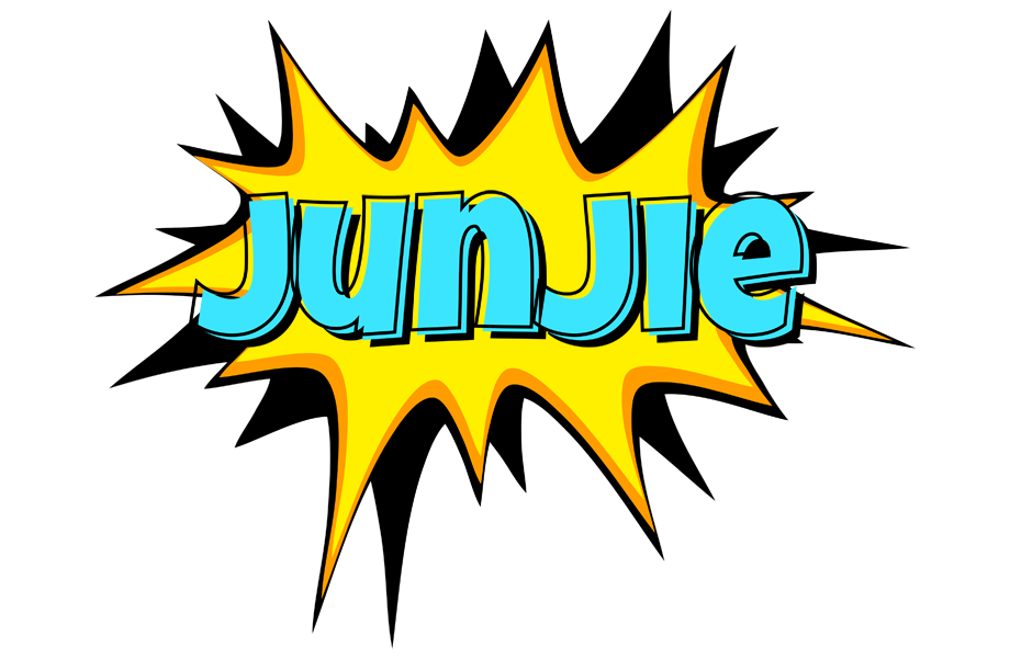 Junjie indycar logo