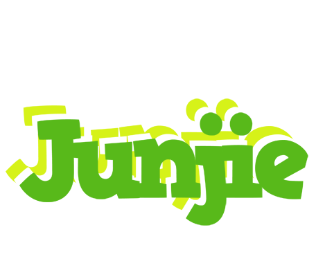 Junjie picnic logo
