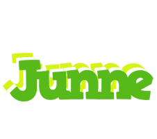 Junne picnic logo