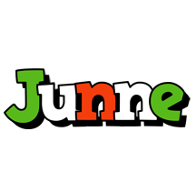 Junne venezia logo