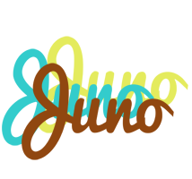 Juno cupcake logo