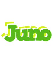 Juno picnic logo