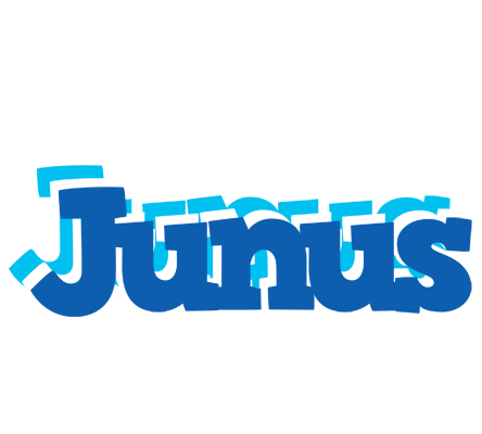 Junus business logo