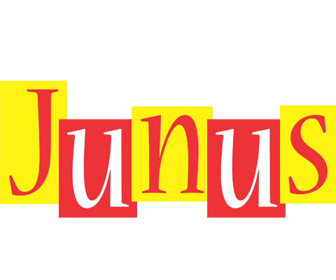 Junus errors logo